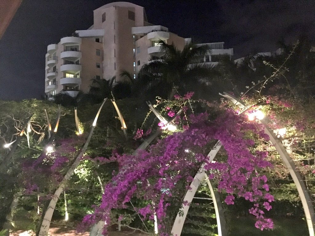 South Bank